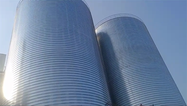 西乡塘2座混凝土高架卷板仓